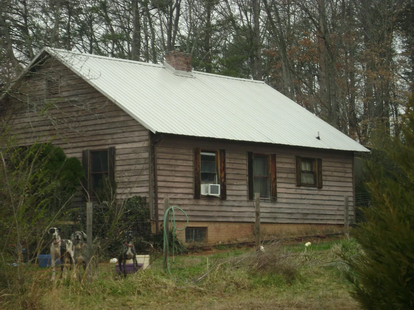 White metal roof on an old wood sided farmhouse, from a Metal Roof Installation job in Woodburn